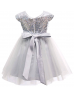 Cap Sleeves Silver Sequin Tulle Short Flower Girl Dress